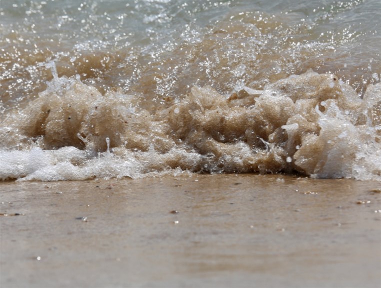 Edde Sands on Thursday 